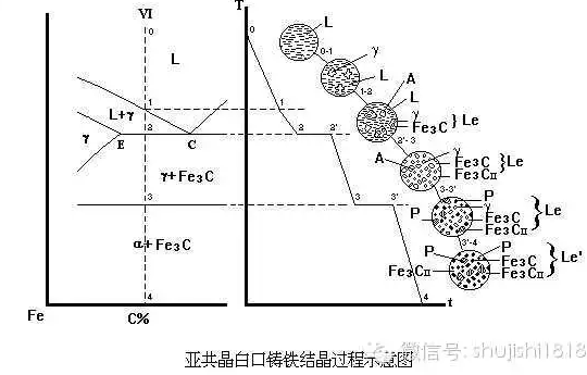 69%c),其特点是铸造性能好,但硬而脆,白口铸铁又分为亚共晶白口铸铁(2