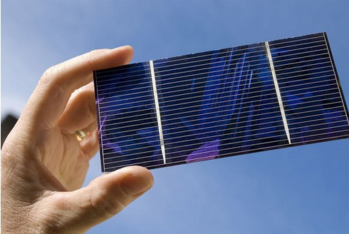 寿光市委书记朱兰玺一行到宇虹防水集团调研