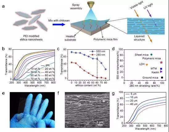合肥工业大学研制出高性能透明柔性仿贝壳结构云母复合膜_新闻_新材料