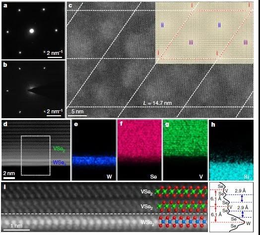 vse2/wse2范德瓦尔斯异质结构的电子显微学表征