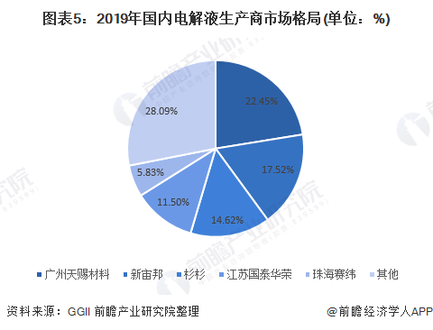 图表5：2019年国内电解液生产商市场格局(单位：%)