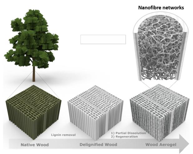 《ACS Nano》：高度多孔、强韧的各向异性纤维素气凝胶_新闻_新材料在线