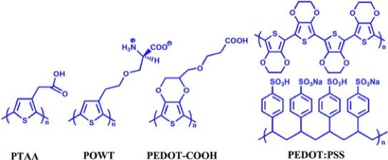 水溶性聚噻吩的化学结构.