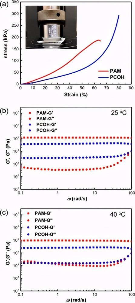 形状稳定的水合盐聚丙烯酰胺相变有机水凝胶实现智能温度管理