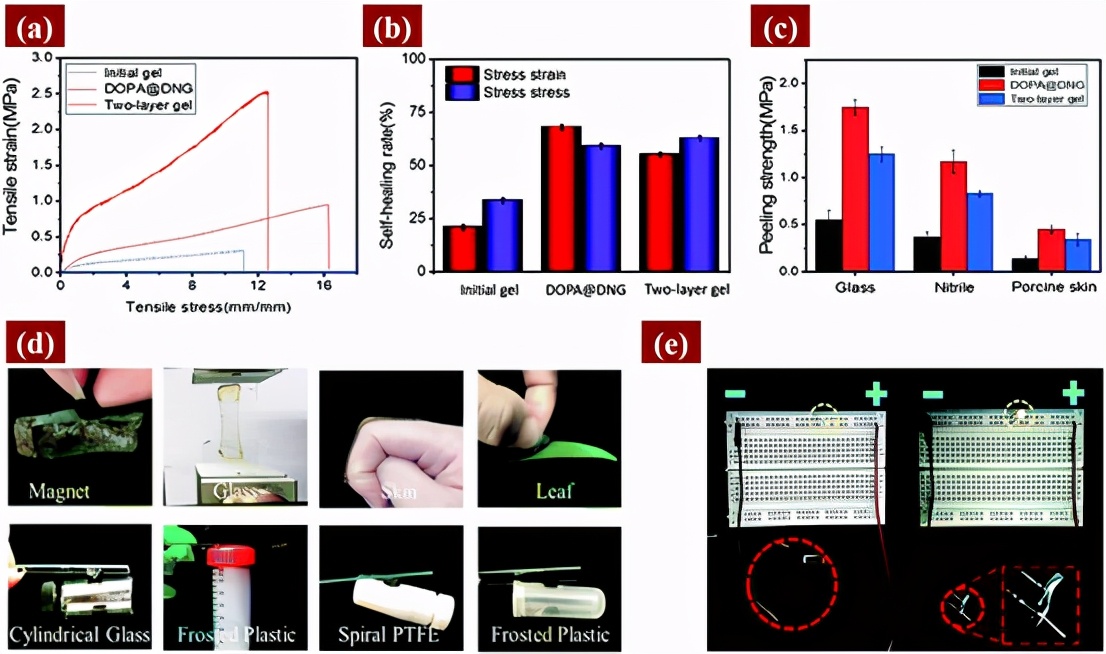 双网络水凝胶!超强自愈,保水,抗菌,粘附,专为透皮贴剂设计