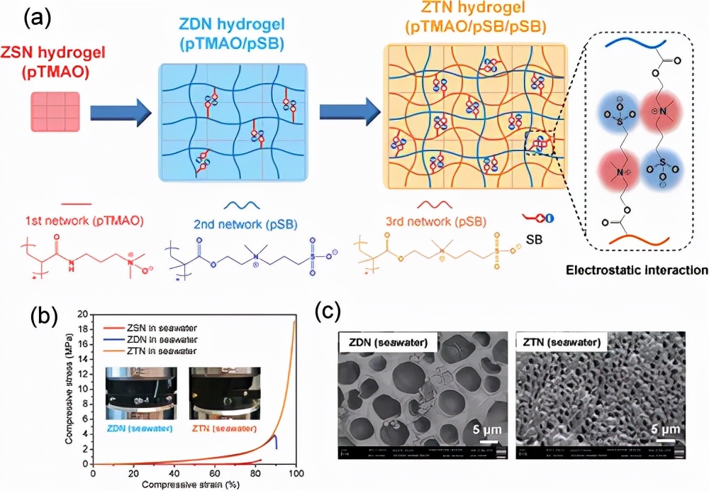 康奈尔大学江绍毅:盐水环境中无污染两性离子三重网络水凝胶
