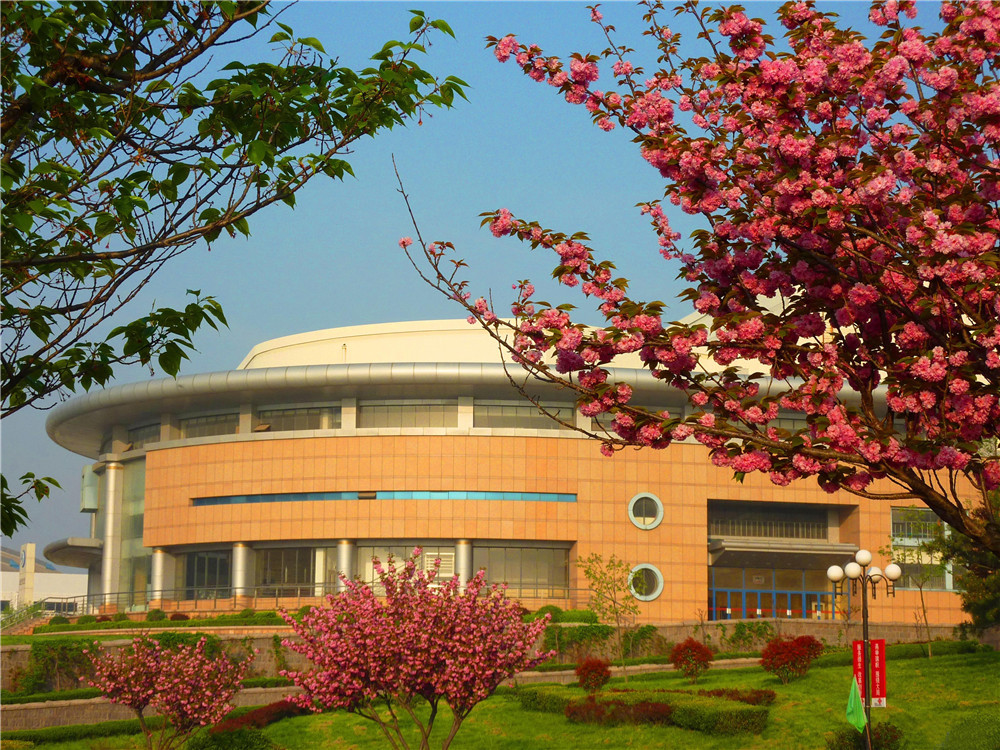 青岛大学材料科学与工程学院院长丛海林:向"海"出发,建设国家一流学科