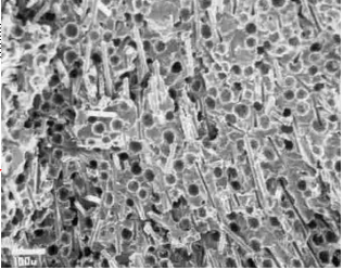 聚赛龙微发泡材料