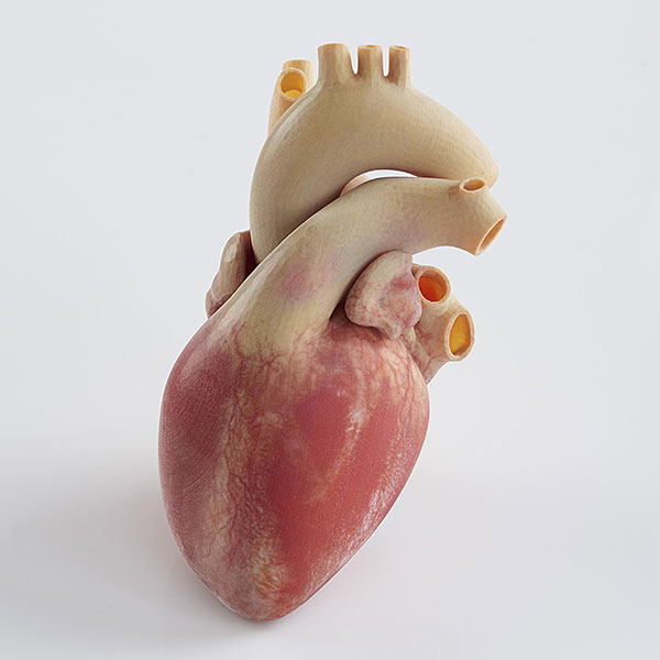 StrataSys-J750-Heart