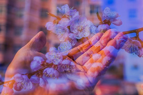 特斯拉自研自动驾驶芯片性能可赶超英伟达？