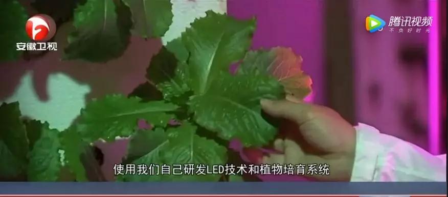 韩国建全球首个隧道LED照明垂直农场