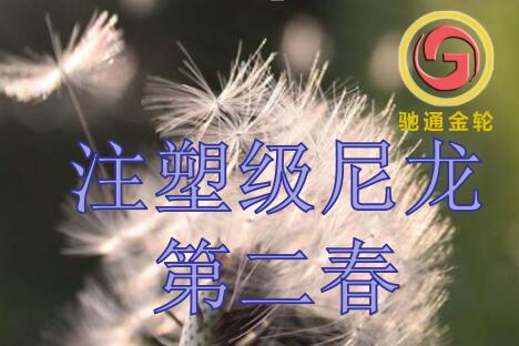 注塑级尼龙第二春