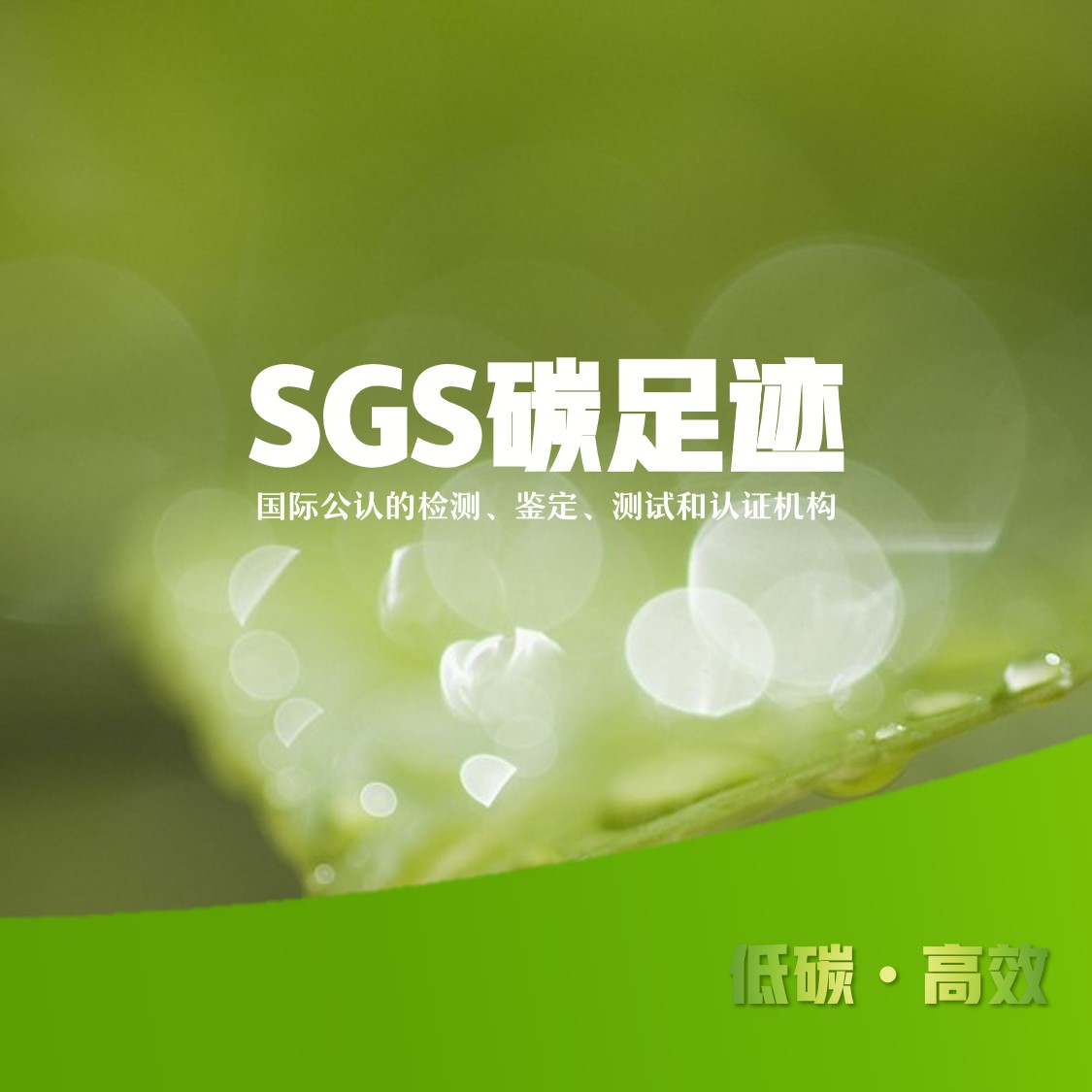 循环水养殖，水产工厂化养殖
