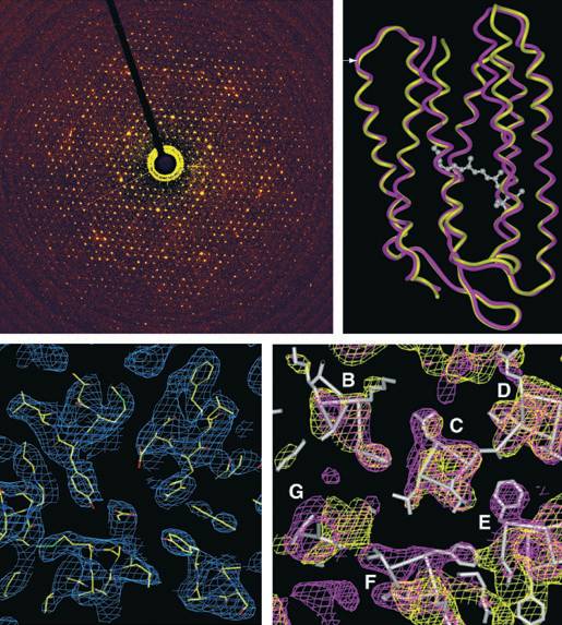 cnscellnaturescience制造机冷冻电镜到底是何方神圣