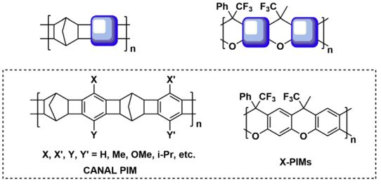 4:催化双降冰片结构 ( canal ) 以及4位取代的吡喃环构成是两种最近才