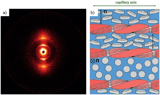 德國斯圖加特大學advancedmaterials第一例膠束溶質向列型凝膠