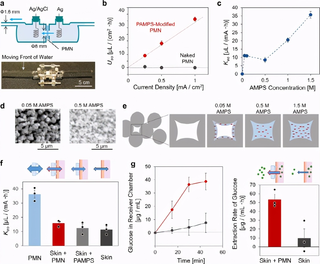 日本东北大学自然通讯多孔微针水凝胶阵列贴剂产生的透皮电渗流