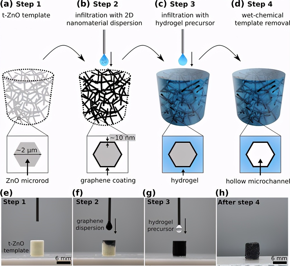 《纳米快报》空心石墨烯管系统可产生填充剂浓度极低的导电水凝胶