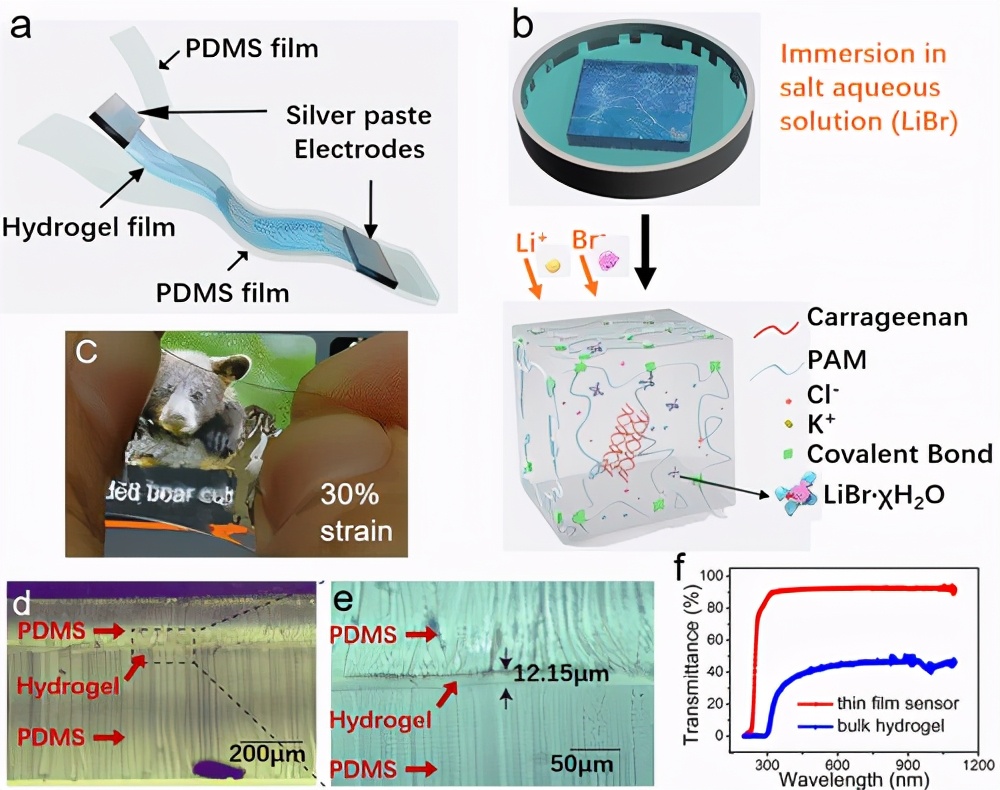 中山大学吴进超灵敏可拉伸快响应可穿戴水凝胶薄膜温度传感器