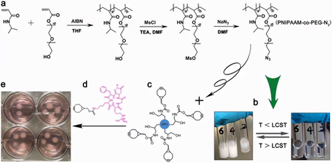 圖1 通過物理-化學共凝膠策略基於 dpg 和 pnipaam-co-peg 聚合物構建