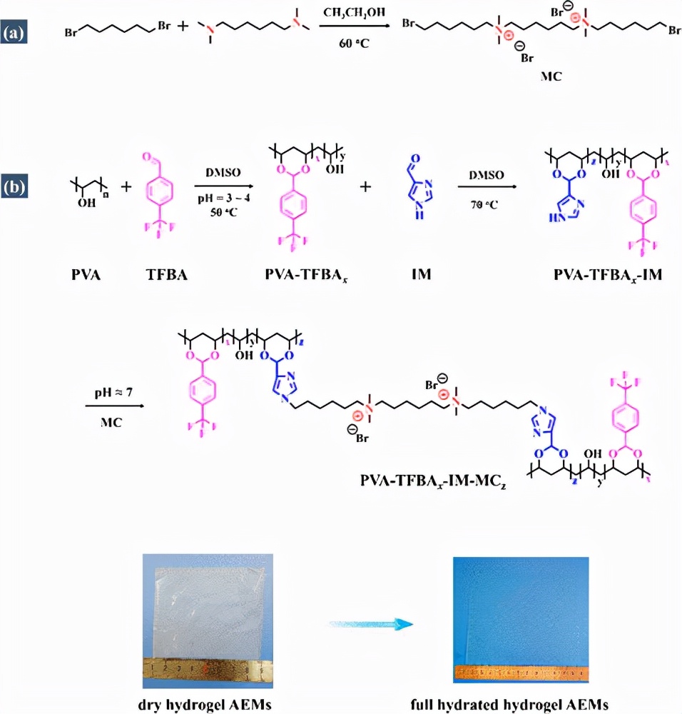 重庆大学王建川魏子栋pva水凝胶阴离子交换膜用于碱性燃料电池
