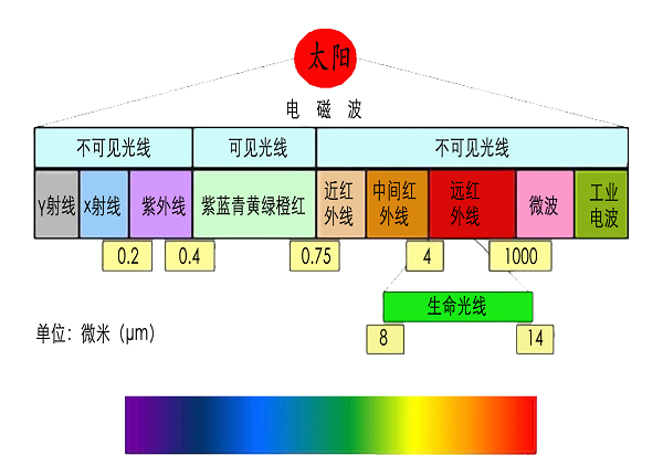 光波图谱图片